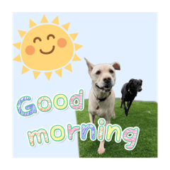 我的快樂狗生-2