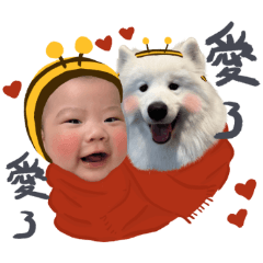 Baby Yara and Samoyed haha