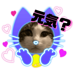 Ayachan_20251030194522