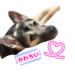 yurimam_20251031072329