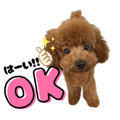 honatarou_20251031074936