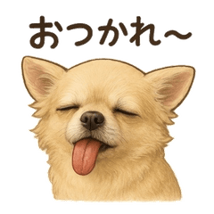 Perorin the Dogs Chatty Life