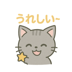 Everyday Cat Feelings