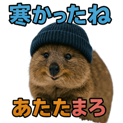 Happy Animal_Quokka Wallaby43 Winter