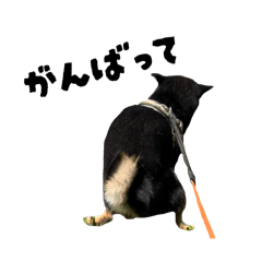 natsu_20251031080212