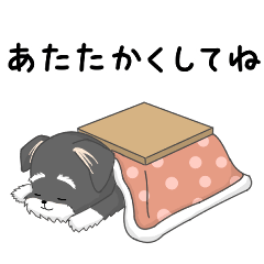 My color シュナウザー　ブラック　冬