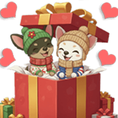 Everyday conversations for Chihuahuas