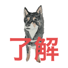 Authentic Shiba-Inu sticker
