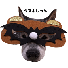 KURUMI_20251031003921