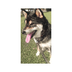 kira tomo_20251031030742