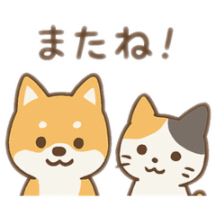 Dog and Cat Best Friends