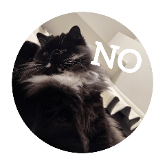 marina_20251030222324