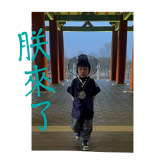 布 日日