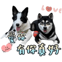 Q比&Boss生活日常（3.0）