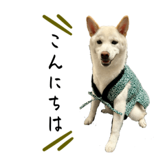 Momoko_20251031152233