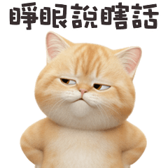 ヾ(*ΦωΦ)ツ小貓貓睜眼說瞎話