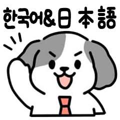 Bilingual Employee ShihTzu DAEBAEK