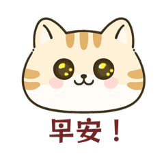 霏的傲嬌喵星人