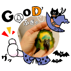 tommy_20251031152208