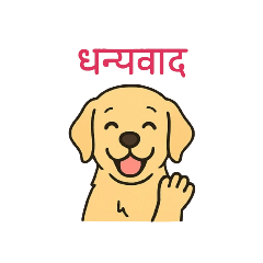 panda_20251031054711