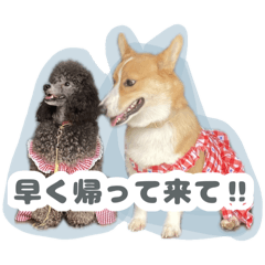 Yuina_20251030204407