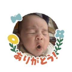 tanuko_20251031123307