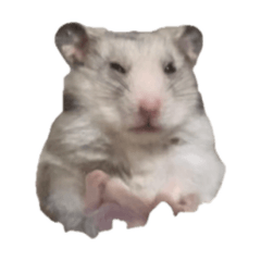 yukki_20251031113425