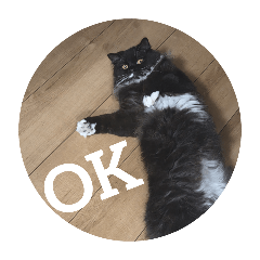 marina_20251031121313