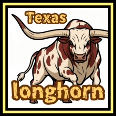 德州長角牛_台湾