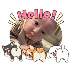 shiho_20251031172456