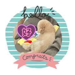 大家好！我是奶油