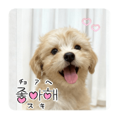 HARUKA_20251031181741