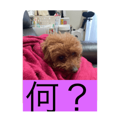 Chika_20251031181707