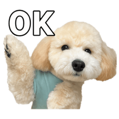 hinata_20251031203856