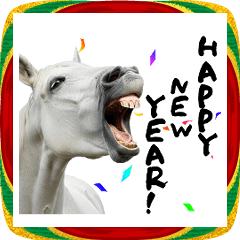 Funny white horse