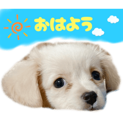 Yurie_20251031225107