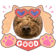 michan_20251031225218