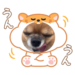 yuina_20251101002027