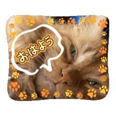 akaMaru_20251031161646