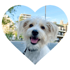 Tammy_20251101105157