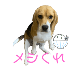 Azuking_20251031221345