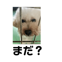 MARINA_20251101010136