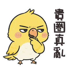 (°> °) 小胖鸚鵡貴圈真亂
