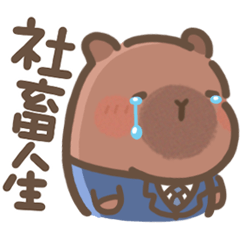 豚豚布丁♡上班日常(Q水豚實用篇)