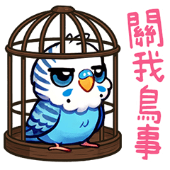 鸚鵡壞壞-關我鳥事！不想鳥～