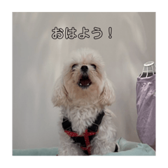 mahiro_20251031233337