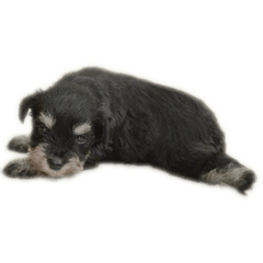 Kasumi_20251101023136