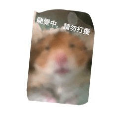 經典語言(佳佳設計）