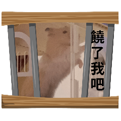 超級無敵霹靂倉鼠寶寶