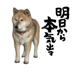 Tanigawa_20251101123232